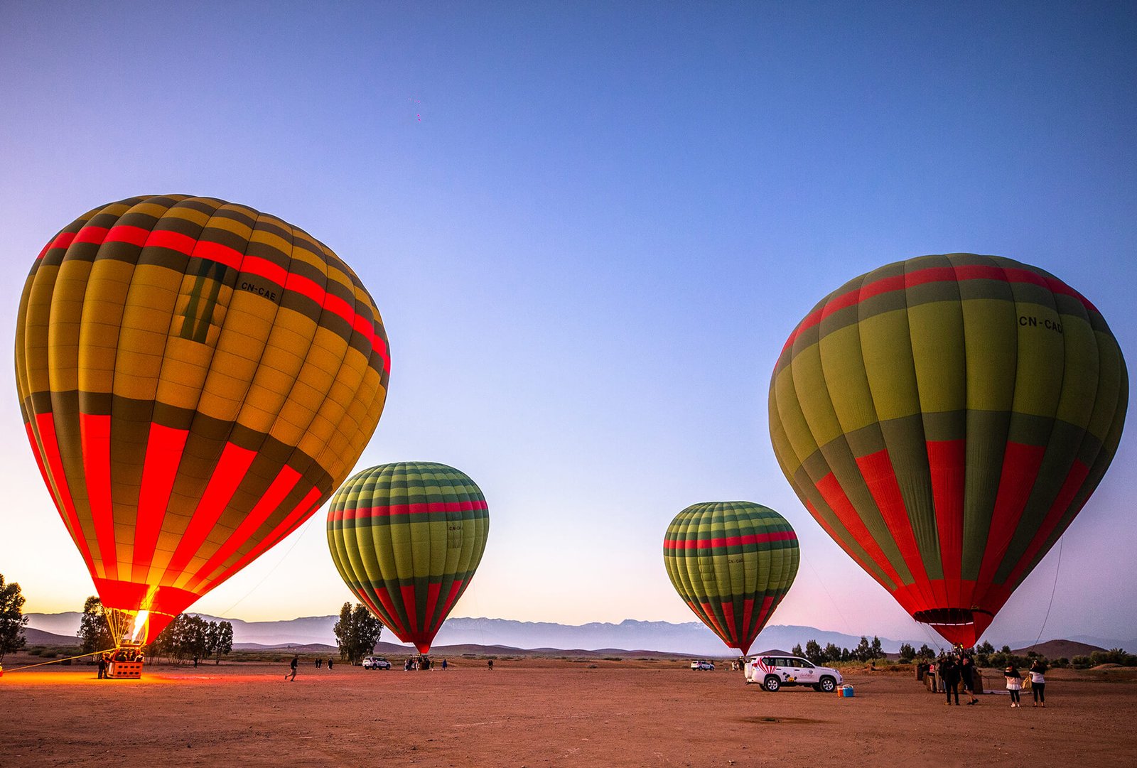 Hot air balloons lifting off at dawn over the Marrakech palm grove, Atlas Mountains behind