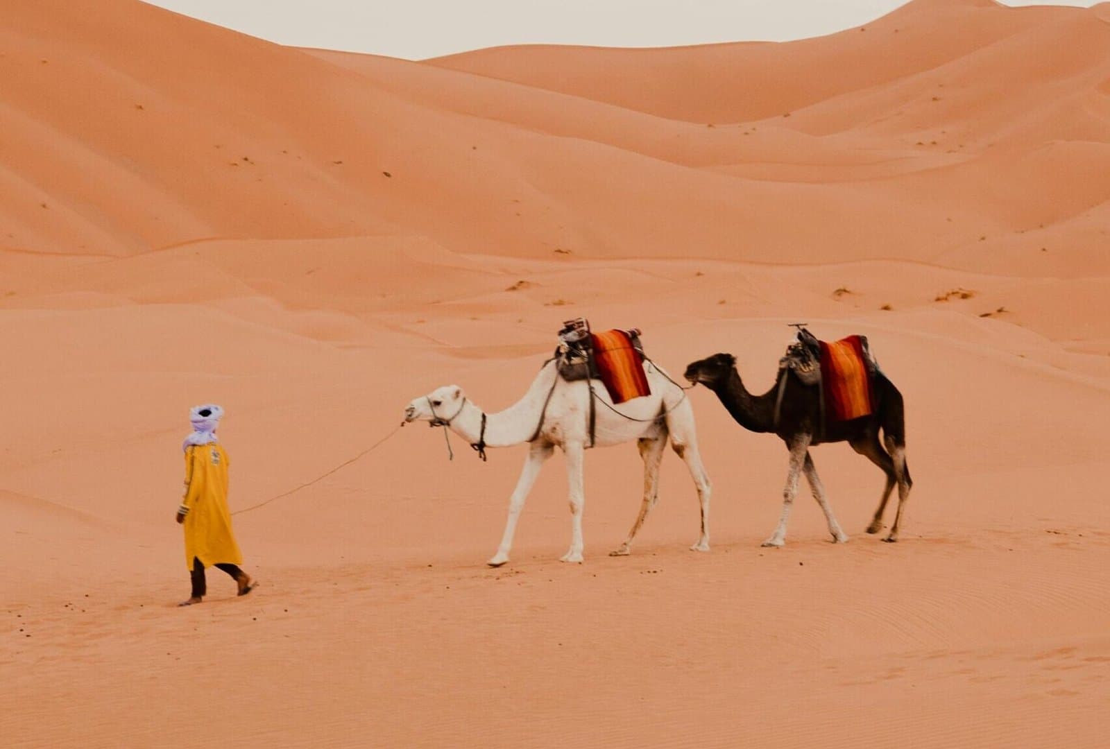 How Much to Tip in Morocco: A Practical Money Guide