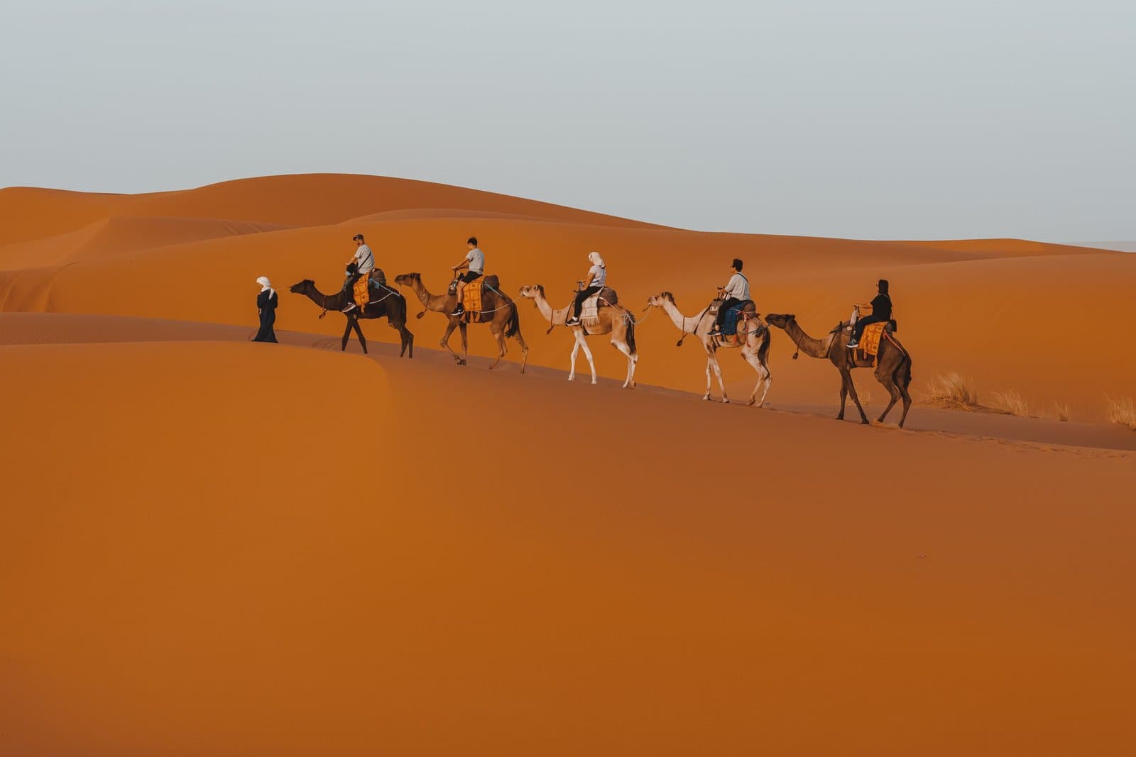10-Day Morocco Desert Tour From Marrakech to Casablanca